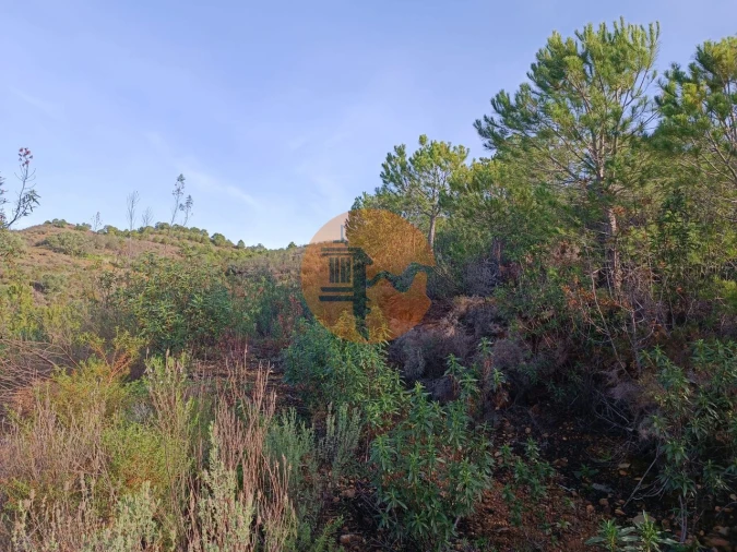 Terreno para Venda em Castro Marim Foto 10