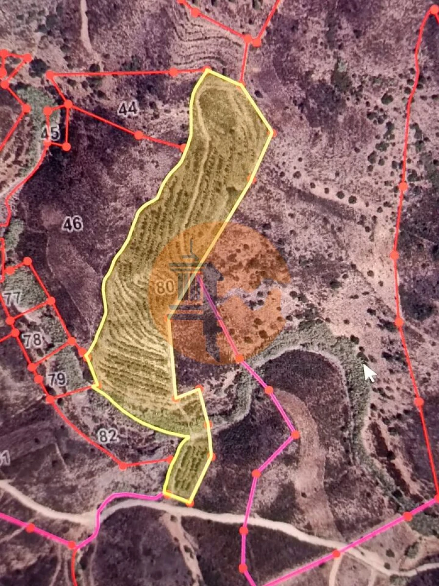 Terreno para Venda em Castro Marim Foto 11