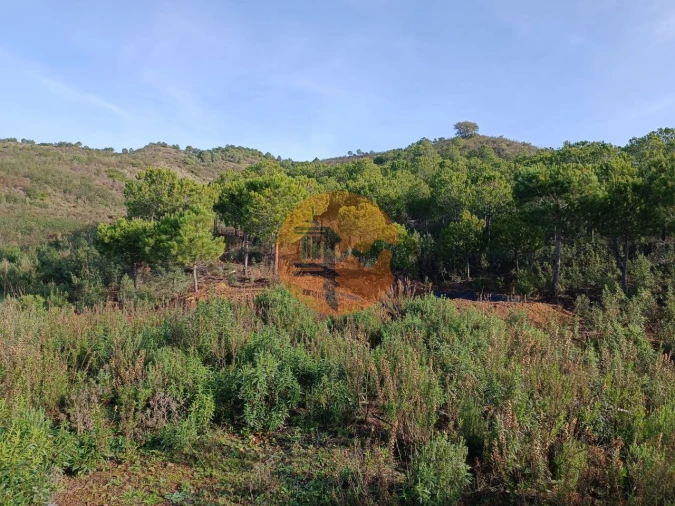 Terreno para Venda em Castro Marim Foto 19