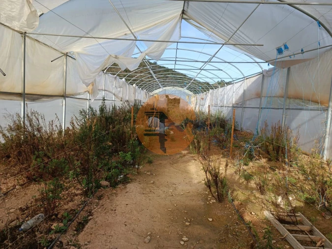 Terreno para Venda em Castro Marim Foto 23