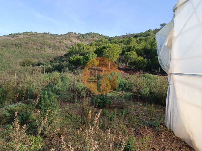 Terreno para Venda em Castro Marim Foto 22