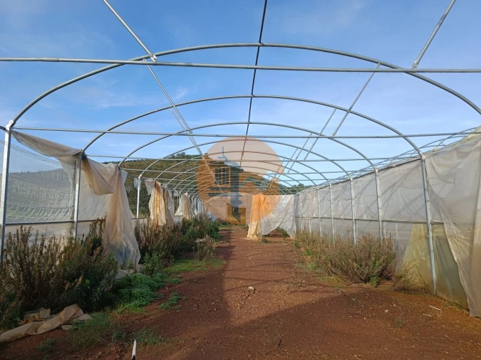 Terreno para Venda em Castro Marim Foto 27