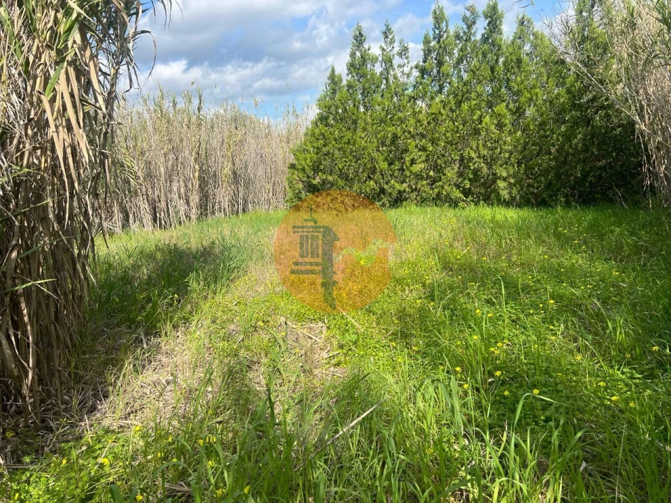 Terreno para Venda em Odeleite Foto 15
