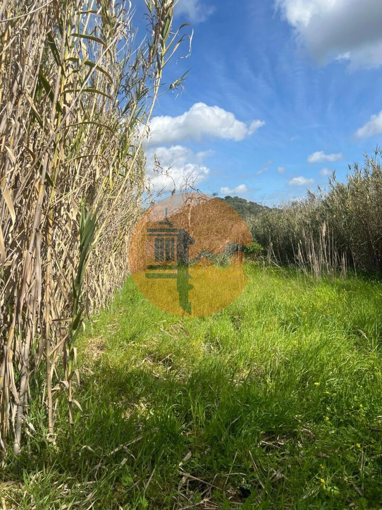 Terreno para Venda em Odeleite Foto 18