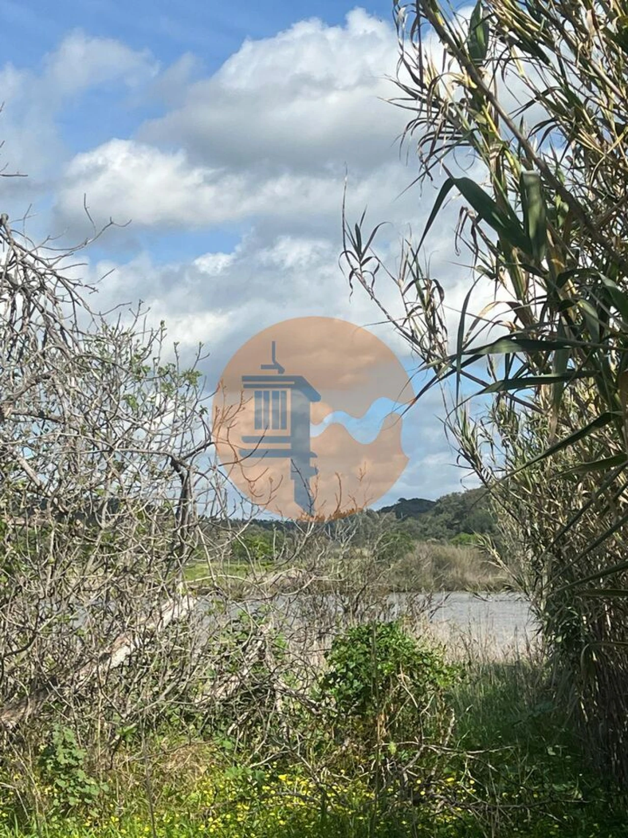 Terreno para Venda em Odeleite Foto 43