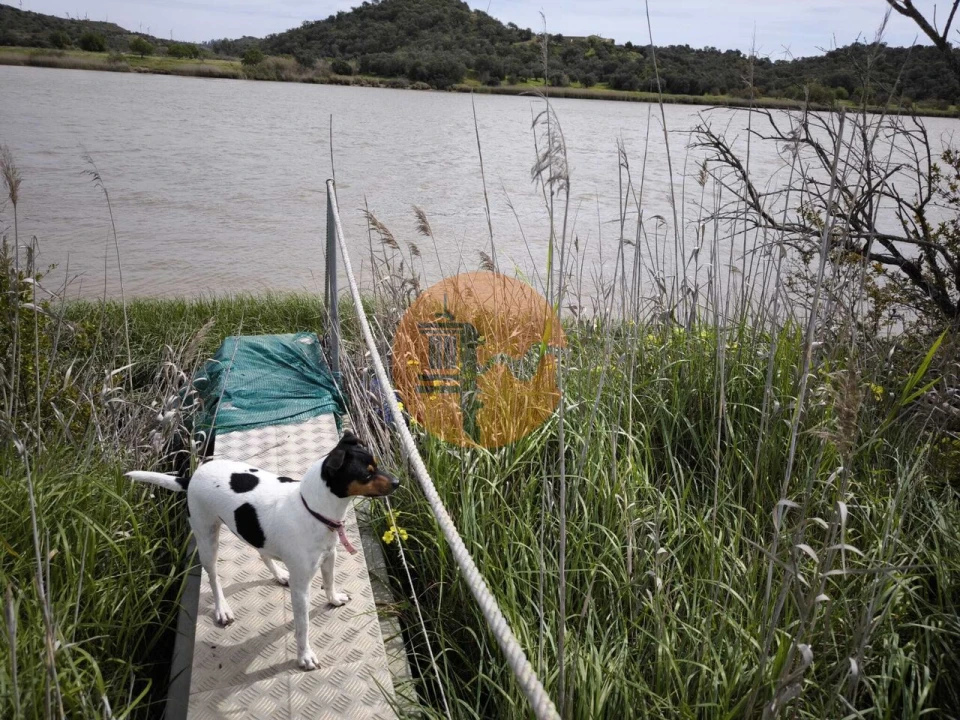 Terreno para Venda em Odeleite Foto 5