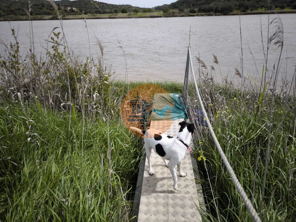 Terreno para Venda em Odeleite Foto 31
