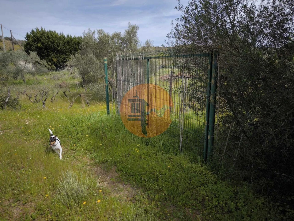 Terreno para Venda em Odeleite Foto 42