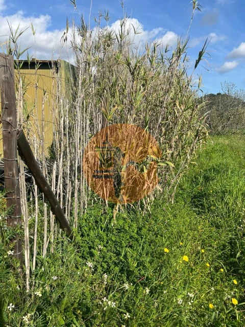 Terreno para Venda em Odeleite