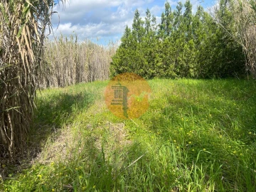 Terreno para Venda em Odeleite