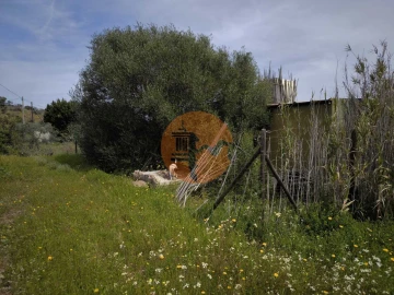 Terreno para Venda em Odeleite