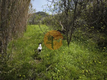 Terreno para Venda em Odeleite