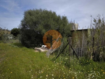 Terreno para Venda em Odeleite