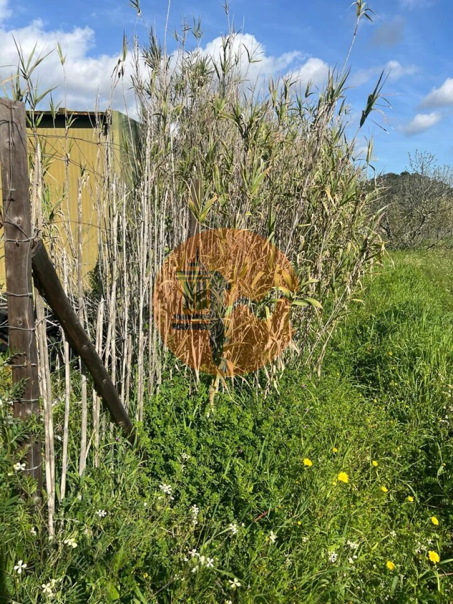 Terreno para Venda em Odeleite Foto 6