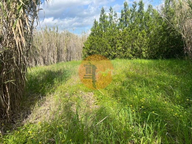 Terreno para Venda em Odeleite Foto 15