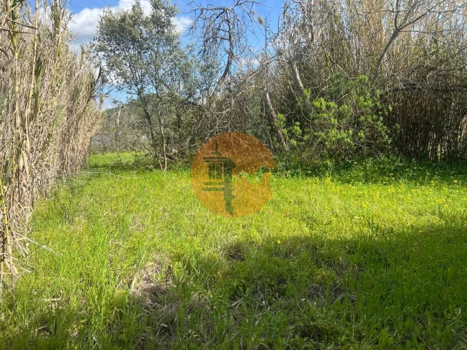Terreno para Venda em Odeleite Foto 17