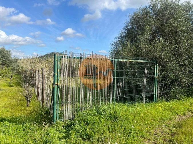 Terreno para Venda em Odeleite Foto 23