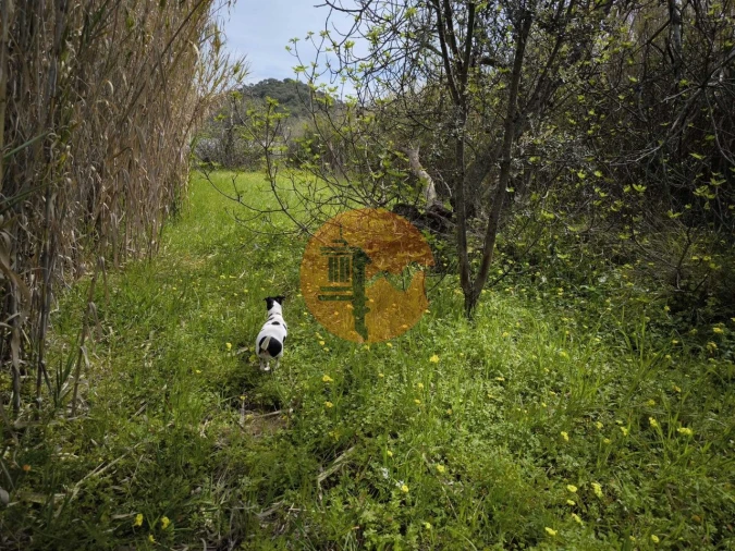 Terreno para Venda em Odeleite Foto 39