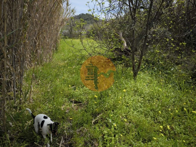 Terreno para Venda em Odeleite Foto 40