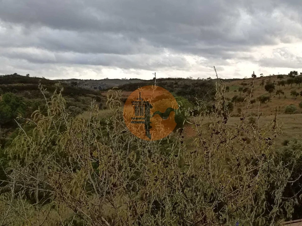 Terreno para Venda em Azinhal Foto 6