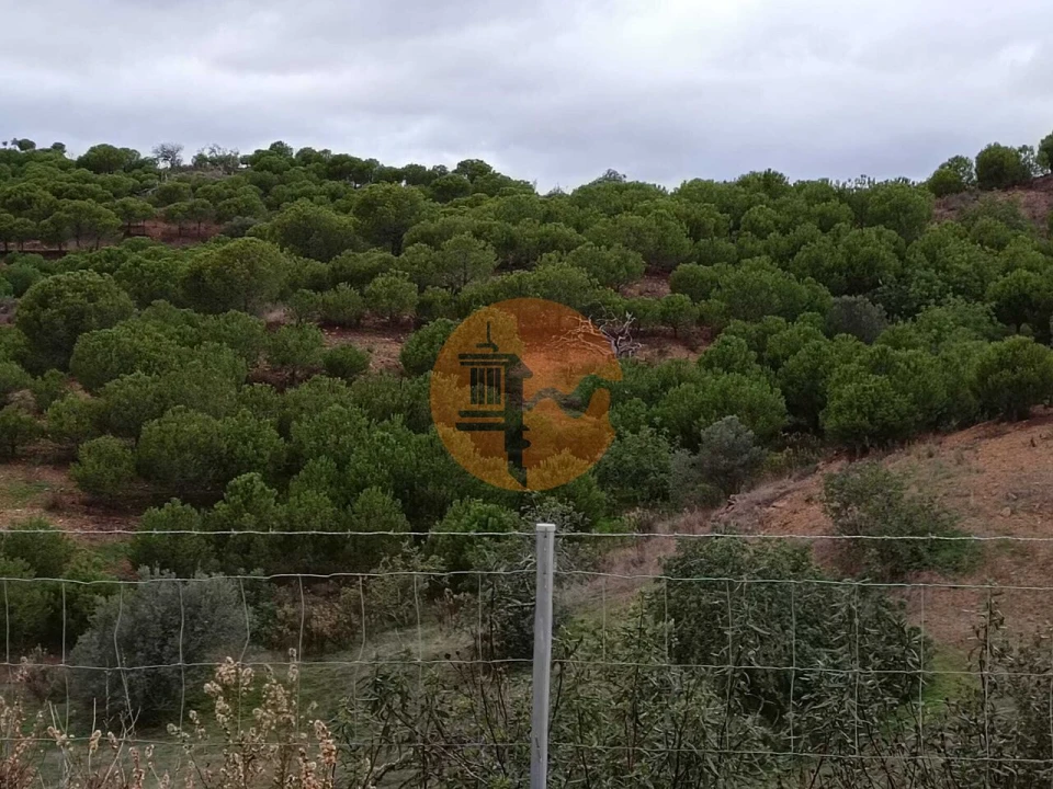 Terreno para Venda em Azinhal Foto 10