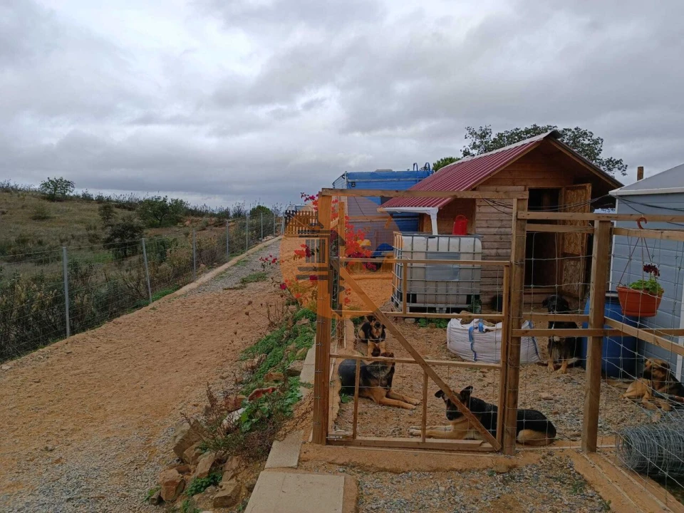 Terreno para Venda em Azinhal Foto 15