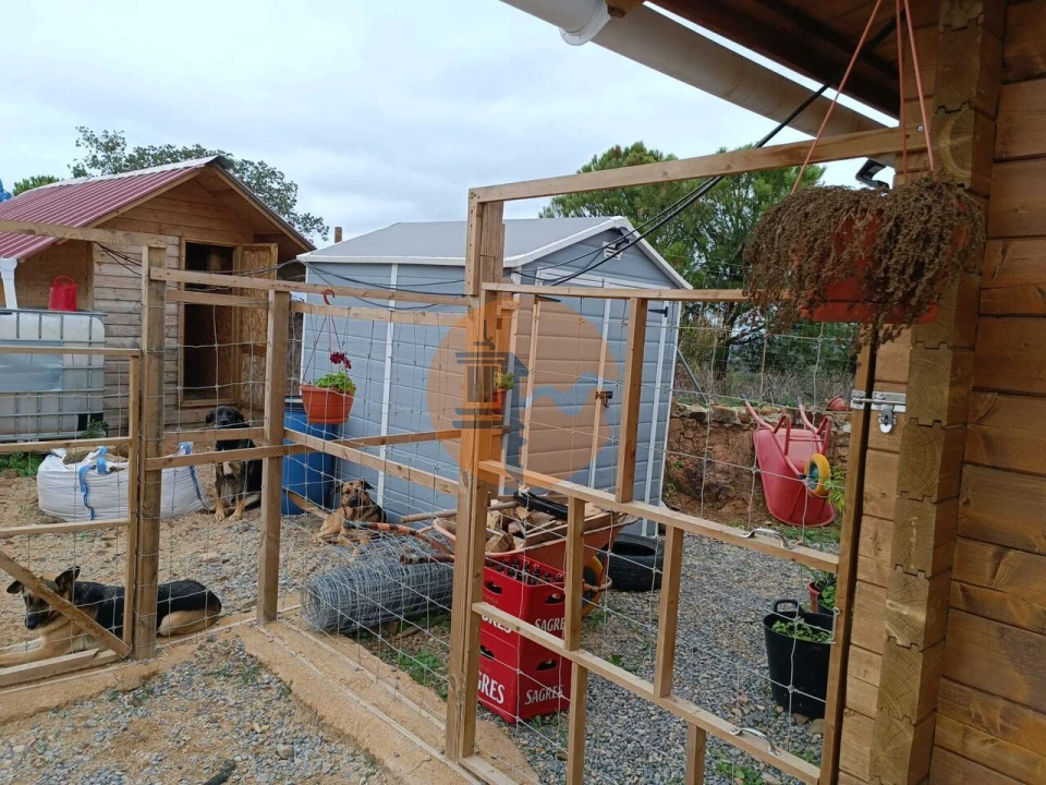 Terreno para Venda em Azinhal Foto 17