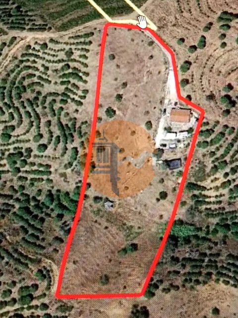 Terreno para Venda em Azinhal