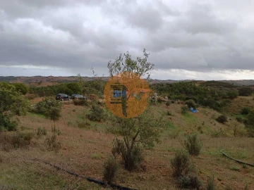 Terreno para Venda em Azinhal
