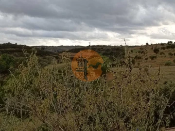 Terreno para Venda em Azinhal