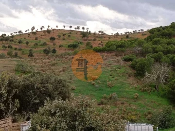 Terreno para Venda em Azinhal