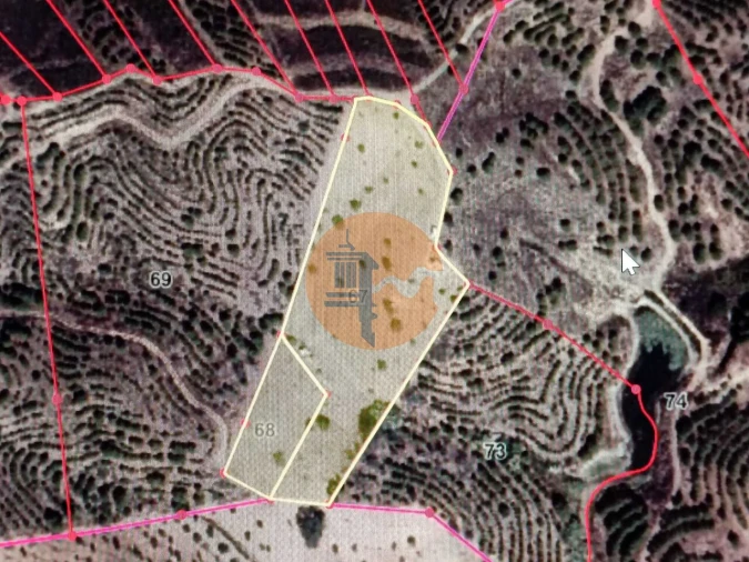 Terreno para Venda em Azinhal Foto 2
