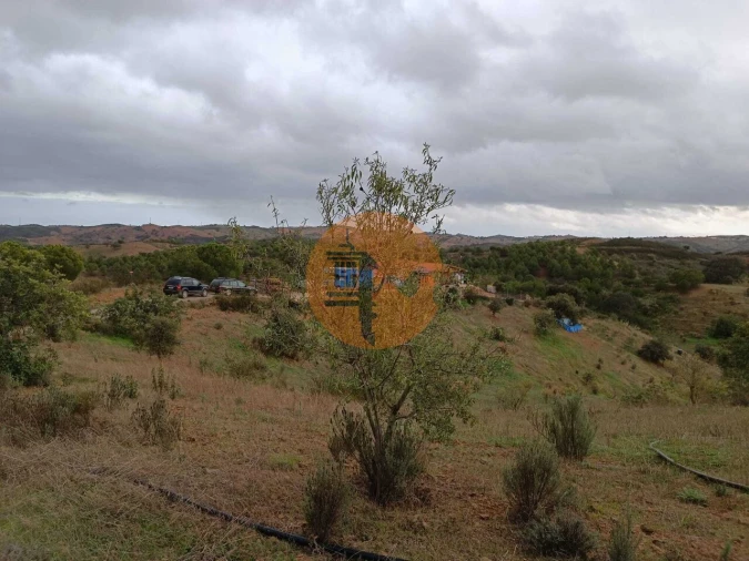 Terreno para Venda em Azinhal Foto 5