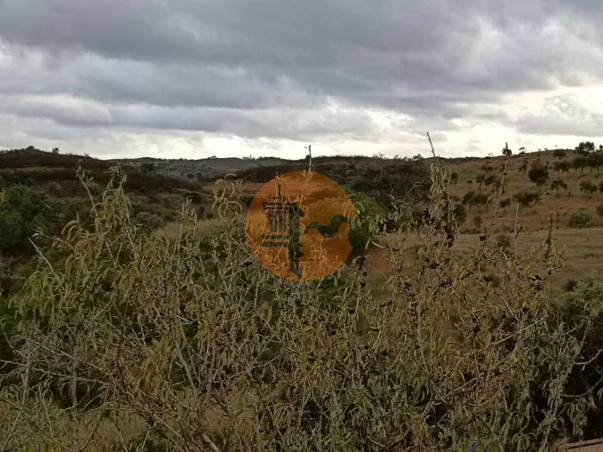 Terreno para Venda em Azinhal Foto 6