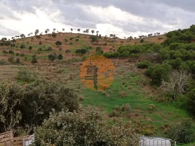 Terreno para Venda em Azinhal Foto 7