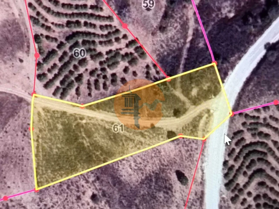 Terreno para Venda em Azinhal Foto 2