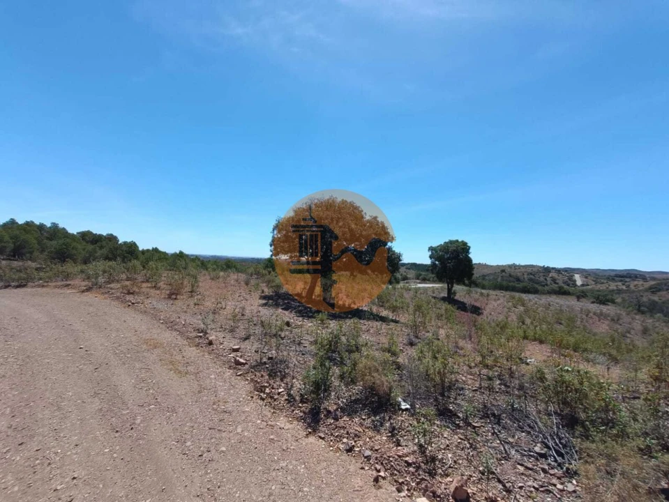 Terreno para Venda em Azinhal Foto 6