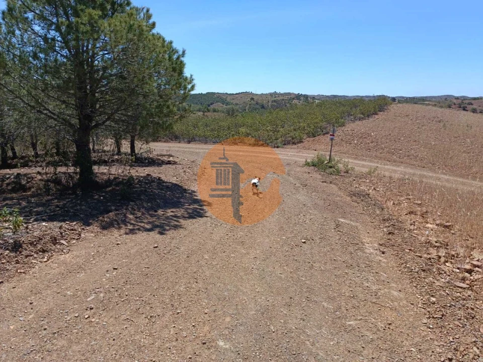 Terreno para Venda em Azinhal Foto 8