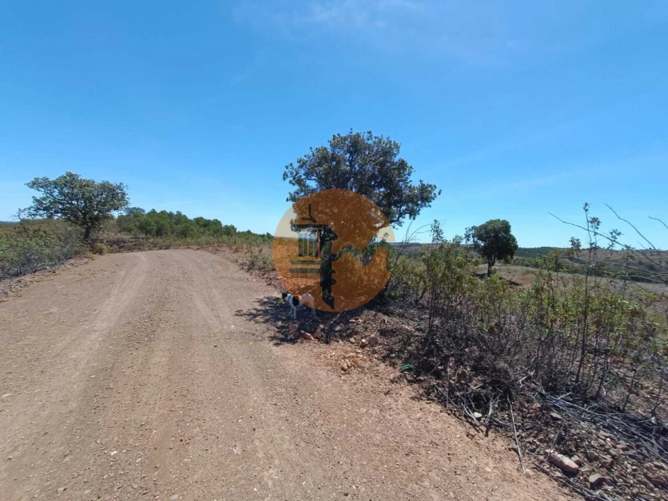 Terreno para Venda em Azinhal Foto 9