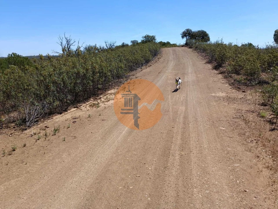 Terreno para Venda em Azinhal Foto 14