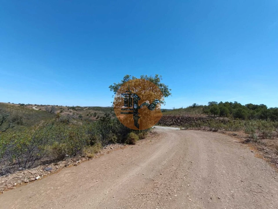 Terreno para Venda em Azinhal Foto 15