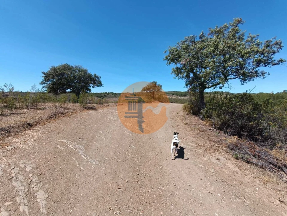 Terreno para Venda em Azinhal Foto 22