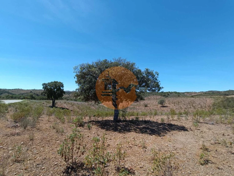 Terreno para Venda em Azinhal Foto 23