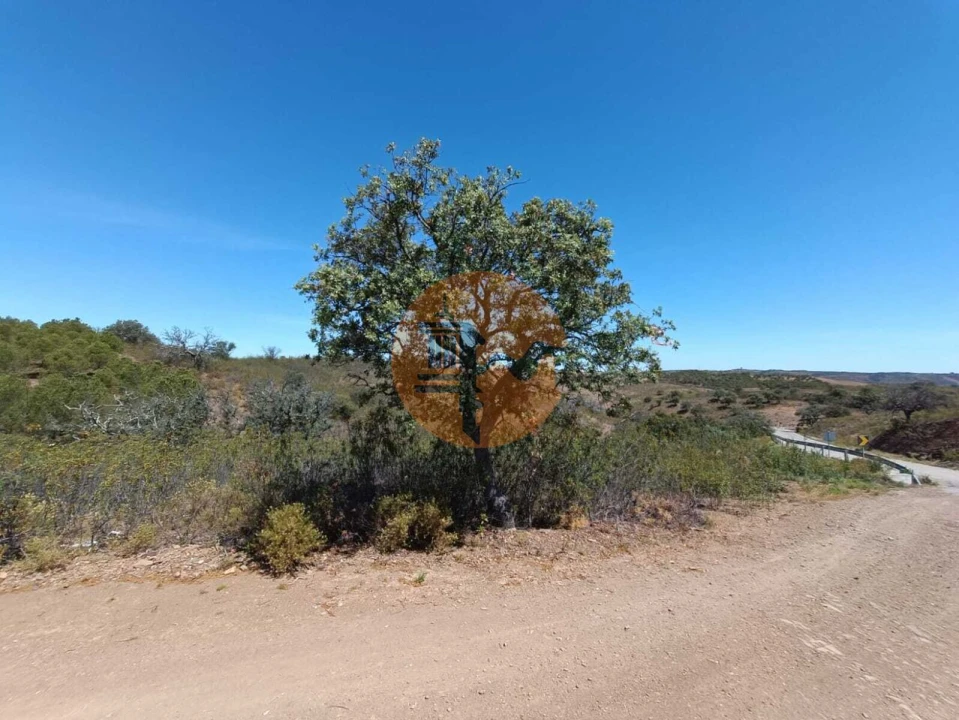 Terreno para Venda em Azinhal Foto 24