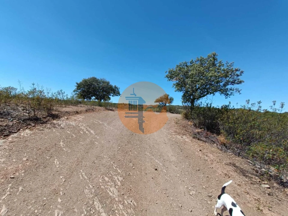Terreno para Venda em Azinhal Foto 25