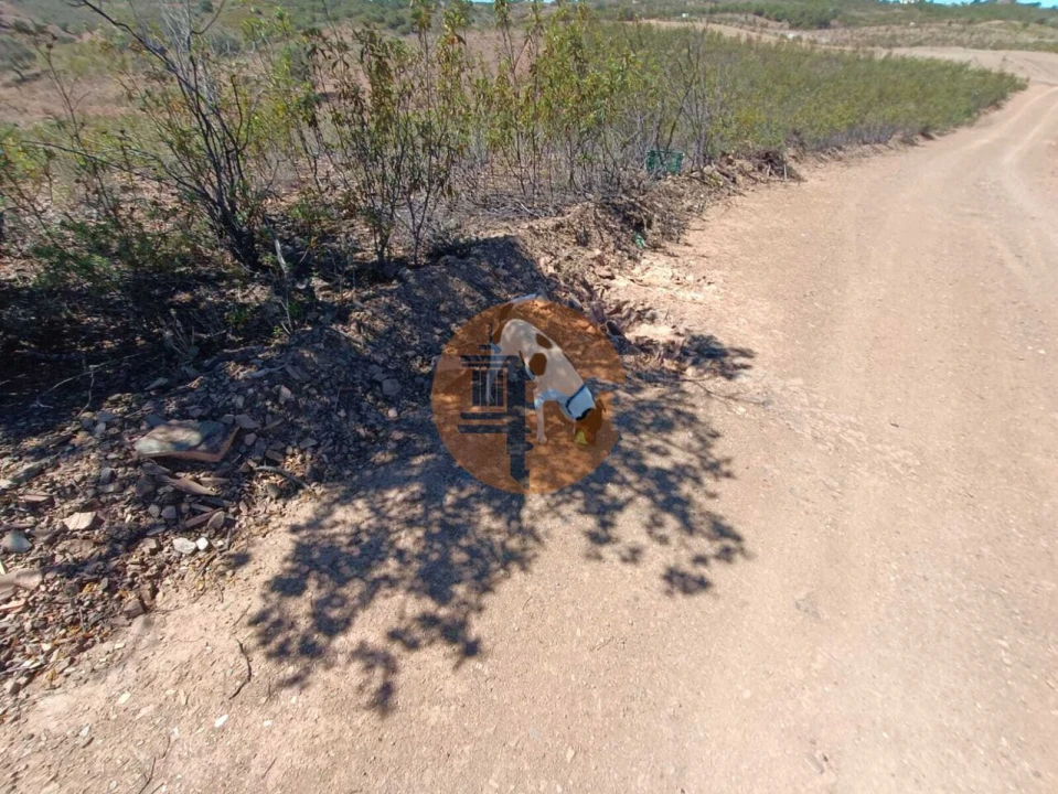 Terreno para Venda em Azinhal Foto 26