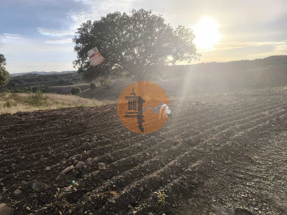 Terreno para Venda em Azinhal Foto 3