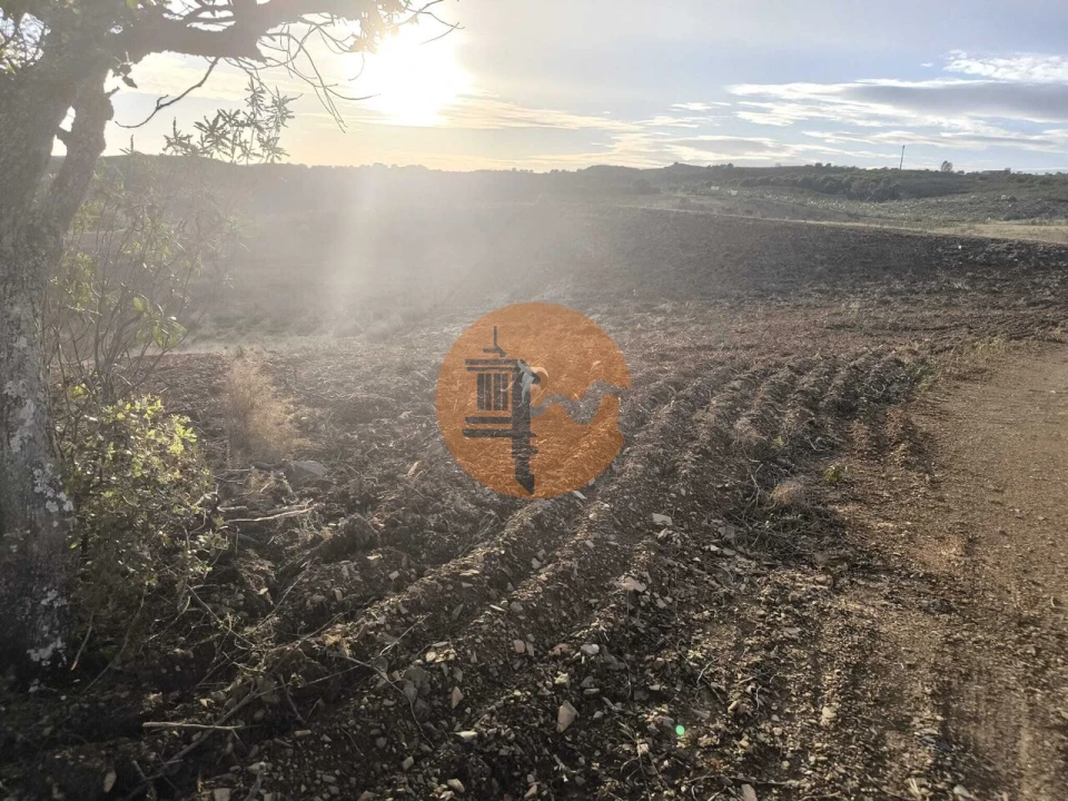 Terreno para Venda em Azinhal Foto 27
