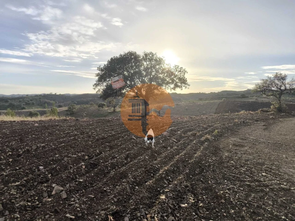 Terreno para Venda em Azinhal Foto 32