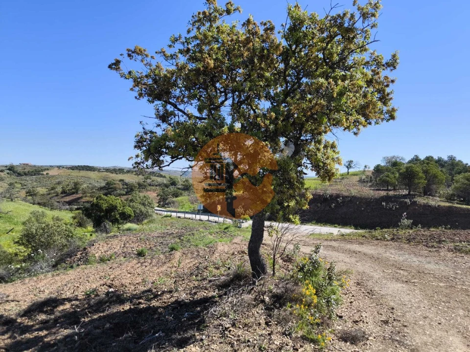 Terreno para Venda em Azinhal Foto 34